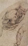 Peter Paul Rubens Portrait of naked man oil painting artist